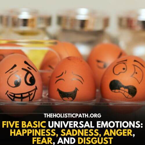 Five human emotions are considered universal