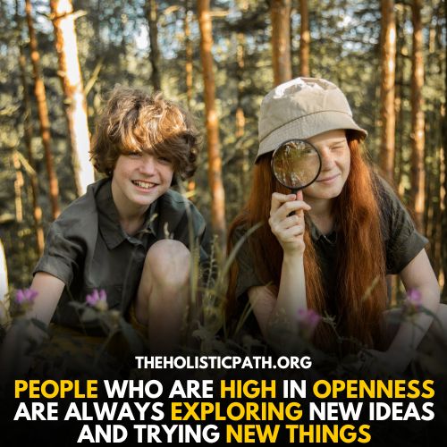 Openness personality type people love to do new things