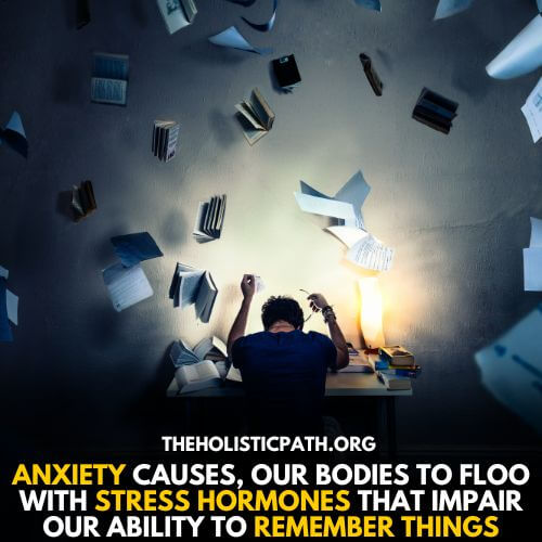 Stress hormones can interrupt memory formation 